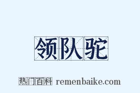 领队驼是什么意思的图片